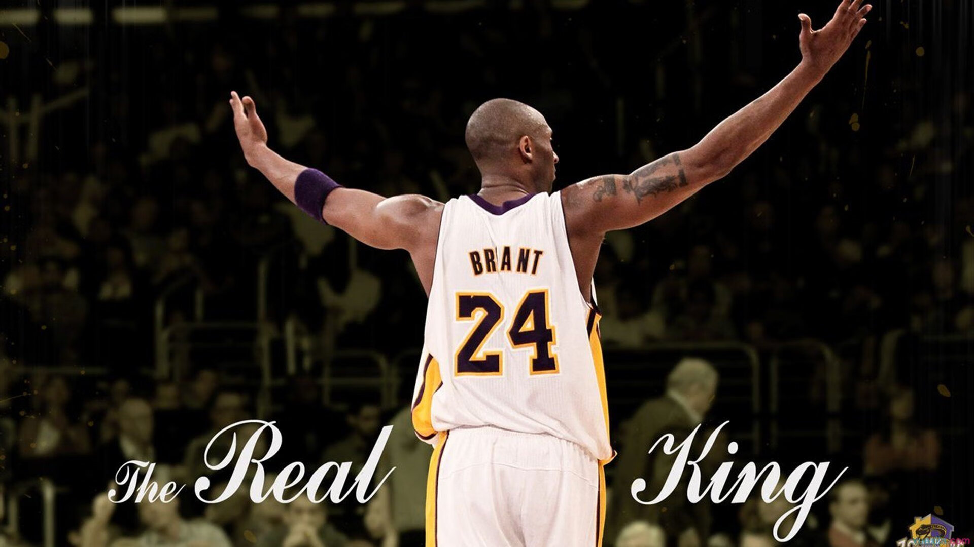 【粉丝专区】投票、评论和打榜活动不断,粉丝活跃榜投票